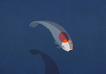 Koi Carp fish with red dot on back below water surface
