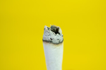 A man hand holds a handmade cigarette on yellow background