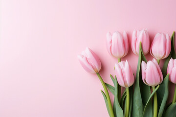 Fototapeta premium Tulip flower love spring green floral pink gift bouquet background beauty bunch