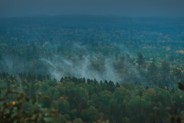 tilt shift of the fall forest with steam rising up from the trees
