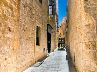 Obraz premium Carriage of horses in a narrow street of Rabat. Malta. Europe.
