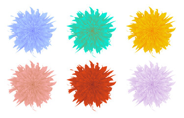 multicolor flower in an isolated background