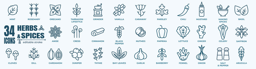 Herbs and spices - minimal thin line web icon set. Outline icons collection. Simple vector illustration. - obrazy, fototapety, plakaty