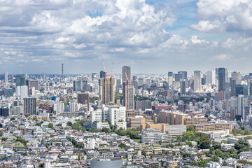 太陽の光が綺麗な東京の高層ビル群