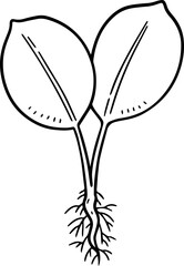 cartoon tree with root illustration.