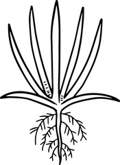 cartoon tree with root illustration.