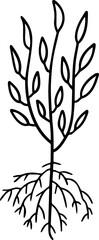 cartoon tree with root illustration.