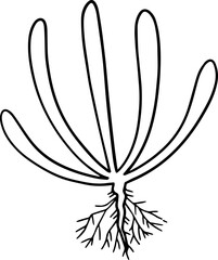 cartoon tree with root illustration.