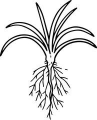 cartoon tree with root illustration.