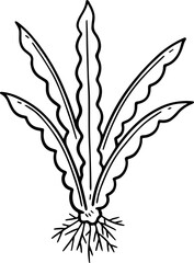 cartoon tree with root illustration.