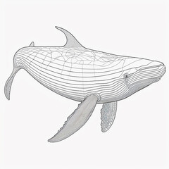 Whale complete body outline coloring minimal