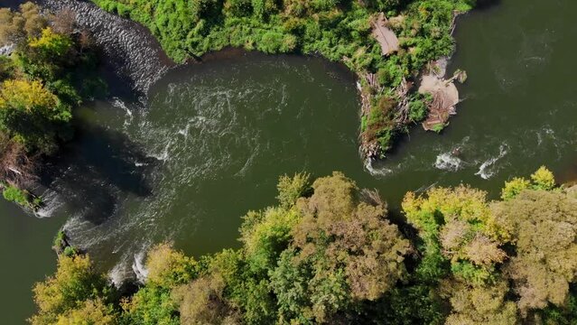 Flying along a beautiful river with rapids and curved banks. Early fall or summer. View from above vertically