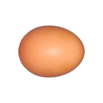 closeup image egg isolated on white background