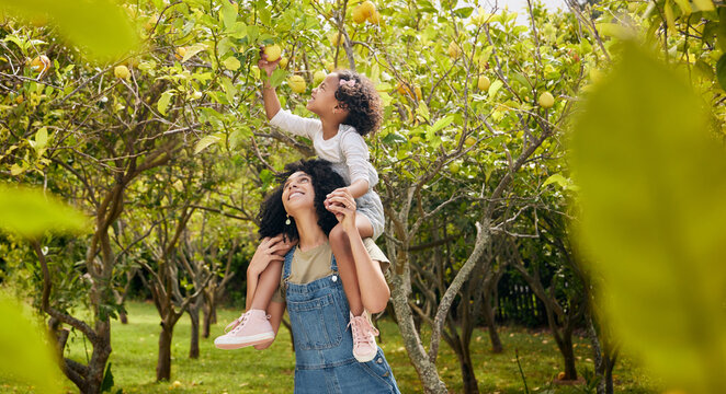 Woman with kid, lemon orchard and piggyback in nature, agriculture with healthy food and nutrition on citrus farm. Farmer, mother and daughter time picking fruit and happiness, harvest and bonding