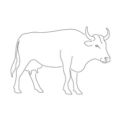 Sketch drawing of a Cow isolated on a white background. Vector editable stroke.