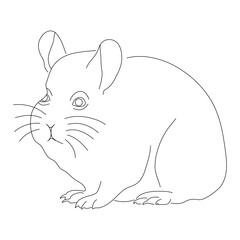 Hand-drawn Chinchillas. Vector editable stroke