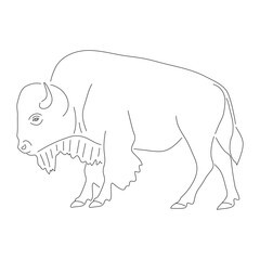 Sketch drawing of a Bison isolated on a white background. Vector editable stroke.