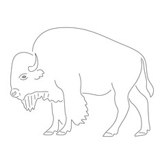 Hand-drawn Bison. Vector editable stroke.