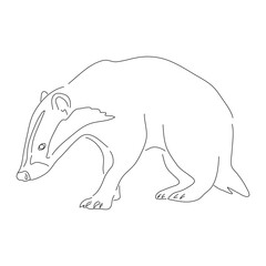 Hand-drawn Badger. Vector editable stroke.