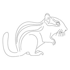 Sketch drawing of a Chipmunk isolated on a white background. Vector editable stroke.