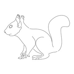 Sketch drawing of a Squirrel isolated on a white background. Vector editable stroke.