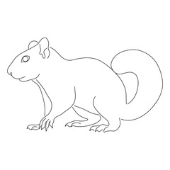 Hand-drawn Squirrel. Vector editable stroke.