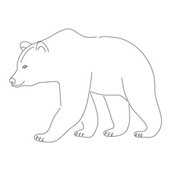 Hand-drawn Brown bear. Vector editable stroke.