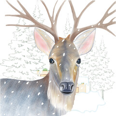 deer in the snow