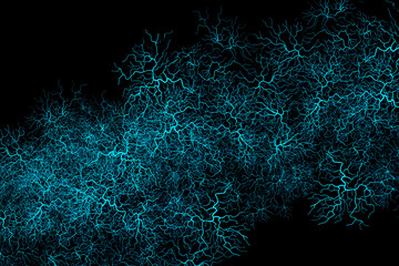 Graphics, background and blue veins for blood system, illustration or design isolated in studio. Capillary, black backdrop and varices for human anatomy, fractal texture or abstract glow of wallpaper