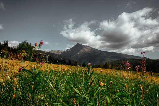 View of famous Krivan peak in High Tatras,Slovakia.National symbol