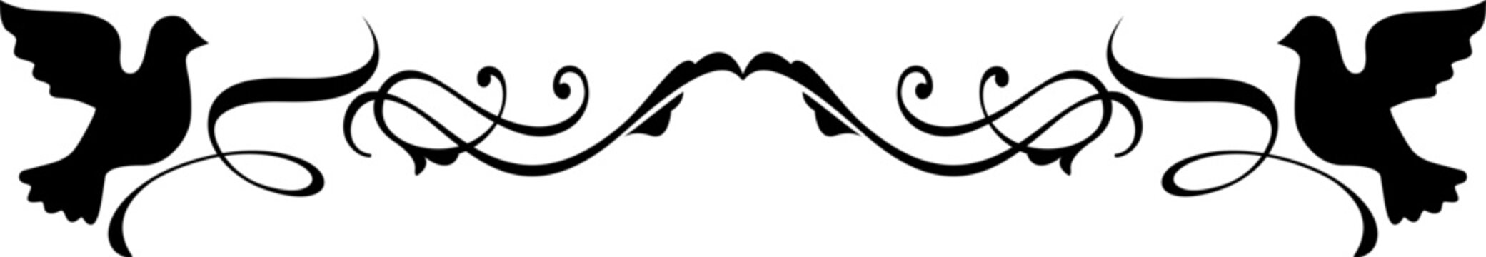 Decorative delimiter separator text with pigeon
