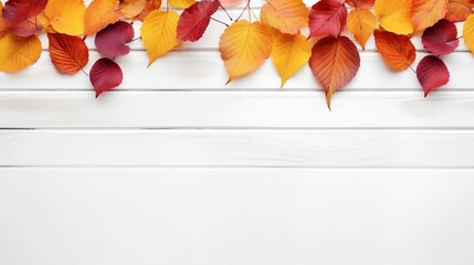 Colorful autumn leaves on white shabby wooden background