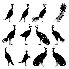 set of silhouettes of peacock