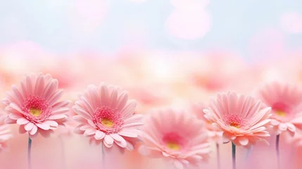 Fotobehang Gerbera Flower bokeh blur copy space Background  © Abdul