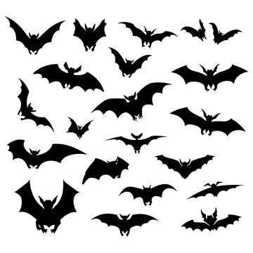 Bat silhouette set