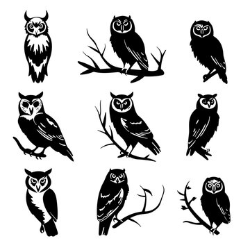 Owl Silhouette and Flying Owl T shirt Designs