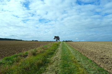 Landwirtschaftliche Fl&auml;che im Sp&auml;tsommer