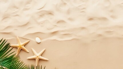 Fototapeta na wymiar Top view of palm leaves, starfish on beach sand