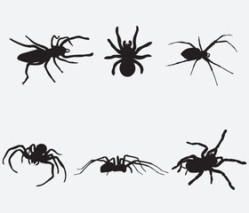 Set of black silhouette spider icon isolated on white background
