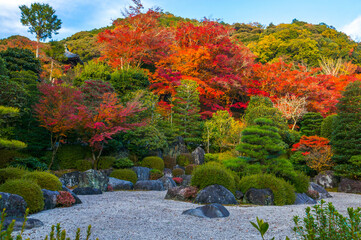 京都 秋の三室戸寺を彩る紅葉と枯山水の日本庭園
