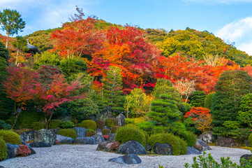 京都 秋の三室戸寺を彩る紅葉と枯山水の日本庭園