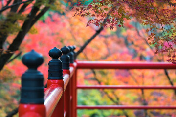 京都 秋の今熊野観音寺を彩る美しい紅葉と朱色の欄干
