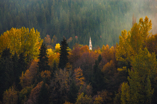 Autumn Season in the Savsat Villages Photo, Savsat Artvin, Turkey (Turkiye)