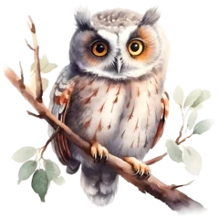 Zelfklevend Fotobehang Cute owl watercolor design with transparent background, PNG illustration © Andrea