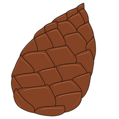 Brown pine cones placed on a white background