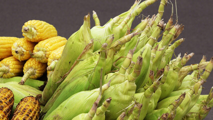 Sweet corn displayed in a street food shop