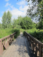 Fototapeta na wymiar Eco trail for walking between trees and bushes, blue sky.