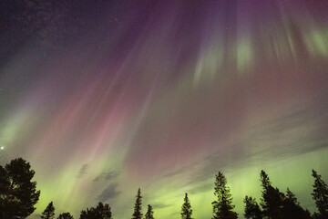 Aurora - Polarlichter - Lappland 