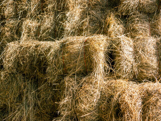 Wall of baled hay flat surface