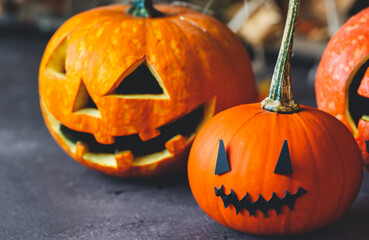 Halloween photo halloween is coming
Close up pumpkins image with clean background
beautiful pumpkins in the background